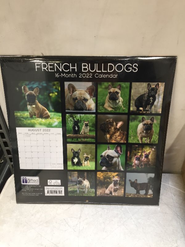 Photo 4 of 2022 Calendar French Bulldogs Square Wall by The Gifted Stationery