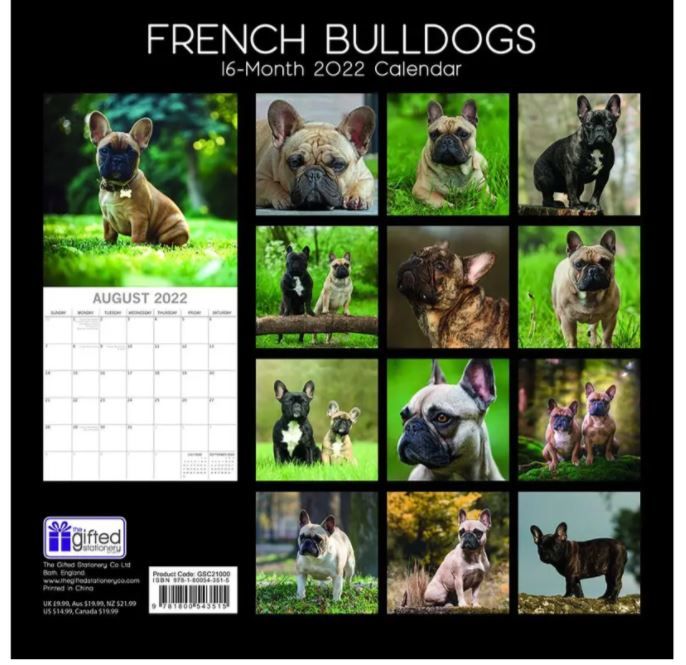 Photo 1 of 2022 Calendar French Bulldogs Square Wall by The Gifted Stationery