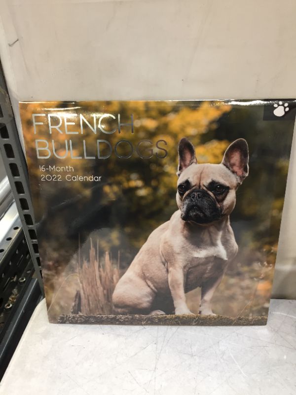 Photo 3 of 2022 Calendar French Bulldogs Square Wall by The Gifted Stationery