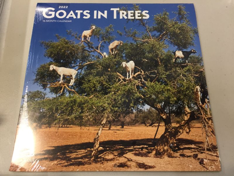 Photo 2 of Goats in Trees Calendar 2022 -- Deluxe 2022 Goats in Trees Wall Calendar Bundle with Over 100 Calendar Stickers (Funny Gifts, Office Supplies) Calendar – Wall Calendar, July 1, 2021
