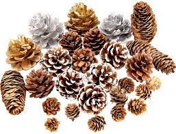 Photo 1 of 38 pcs Christmas pinecones assorted sizes 