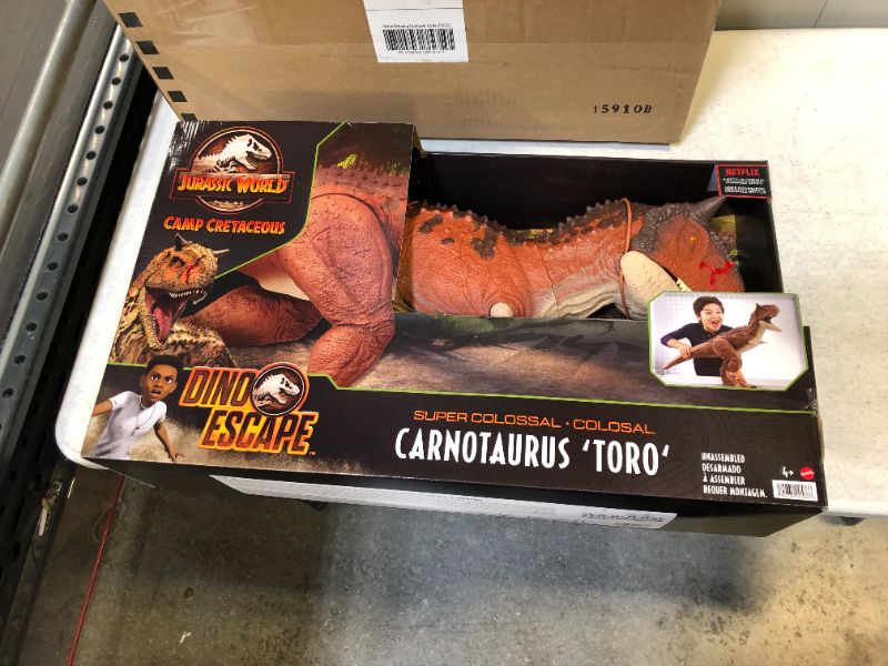 Photo 2 of Jurassic World Colossal Carnotaurus Toro Dinosaur Action Figure Camp Cretaceous with Stomach-Release Feature, 36-in Long, Realistic Sculpting, Kid Gift Age 4 Years & Up