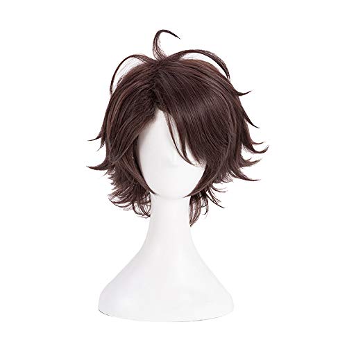 Photo 1 of Xingwang Queen Anime Cosplay Wig Short Brown Purple Shaggy Layered Men Boys' Party Wigs
