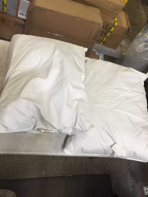 Photo 1 of 2pack white pillows