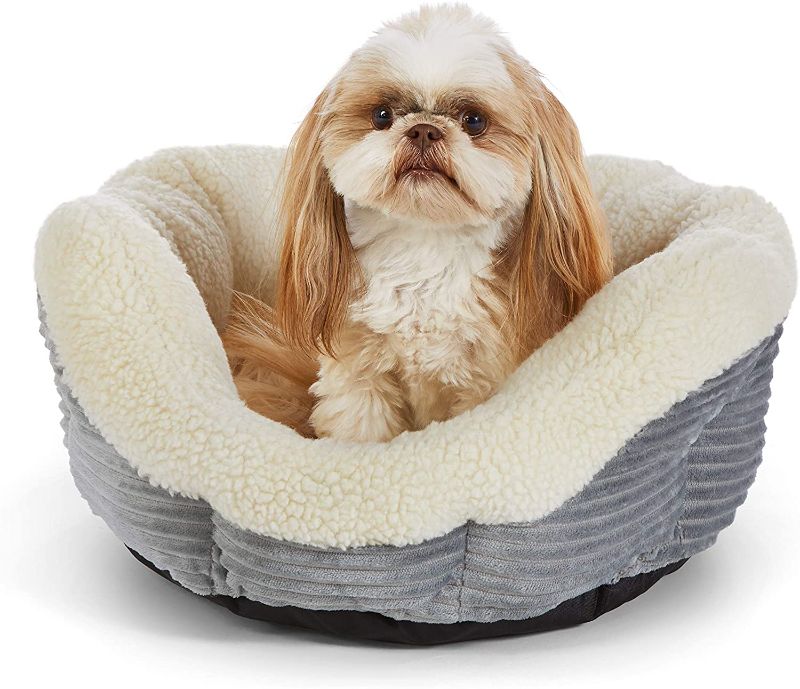 Photo 1 of Amazon Basics Warming Pet Bed For Cats or Dogs 18 inches 
