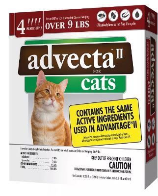 Photo 1 of Advecta II Flea Drops for Cats