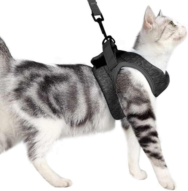 Photo 1 of YoneKiera Cat Harness and Leash Set - Escape Proof Safe Cat Vest Harness for Walking Outdoor - Reflective Adjustable Soft Lightweight Easy Control Breathable Harness of Cats 
