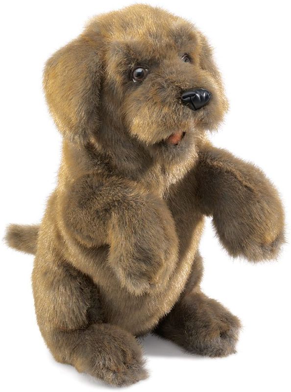 Photo 1 of Folkmanis Sitting Dog Hand Puppet, Brown
