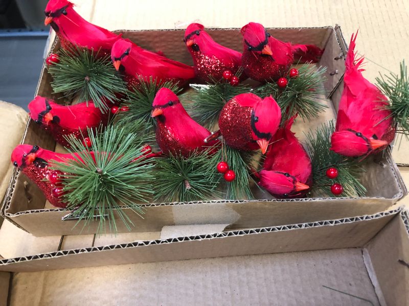 Photo 3 of 10 Inch Artificial Red Cardinal Birds with Clip-Large Size Christmas Cardinal Birds Clip for Christmas Tree Ornament Decorations, Arts and Crafts box full 
