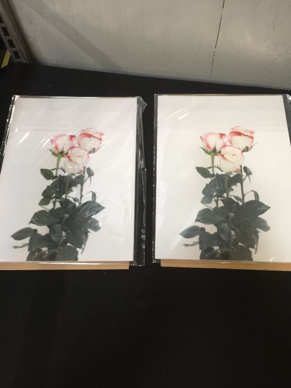 Photo 2 of *** COMES UNFRAMED*** Newworth Set of Prints Decorative Plant Rose and Cactus Pictures Set of 6 Botanical Prints Minimalist and Modern Design Cardstock Gloss Paper Prints------ 2 PACK 