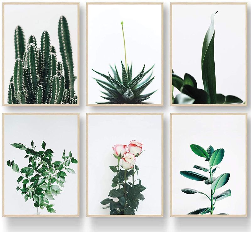 Photo 1 of *** COMES UNFRAMED*** Newworth Set of Prints Decorative Plant Rose and Cactus Pictures Set of 6 Botanical Prints Minimalist and Modern Design Cardstock Gloss Paper Prints------ 2 PACK 