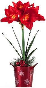 Photo 1 of HOMESEASONS Artificial Amaryllis Arrangement