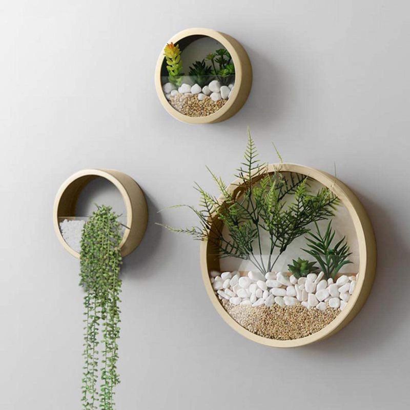 Photo 1 of 3 Pack Set Wall Planters,Modern Round Glass Wall Planter Succulent Planter Circle Iron Hanging Planter Vase for Herb,Small Cactus Perfect for Balcony, Room and Patio Decor (Gold)
