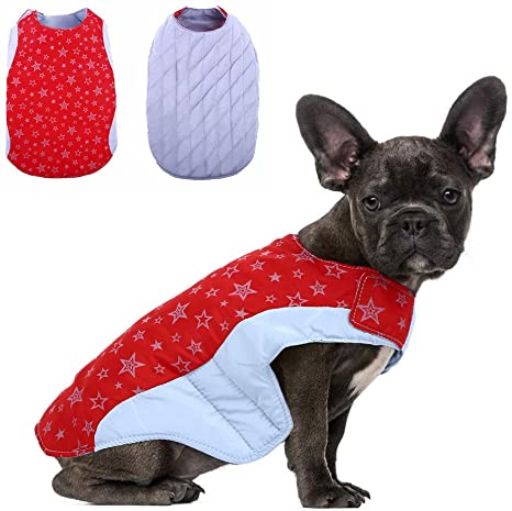 Photo 1 of Reversible Warm Dog Coat Bulldog Jacket, Padded Cotton Thick Pug Pitbull Vest, Stylish Reflective Stars Waterproof Windproof Puppy Costume, Winter Cold Weather Coat for Small Medium Large Dog SIZE LARGE