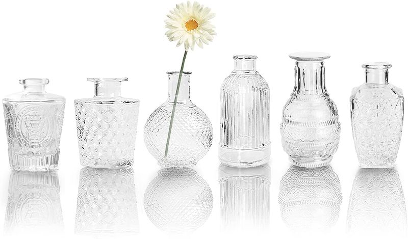 Photo 1 of Bonne Ambiance Small Glass Bud Vase set of 9