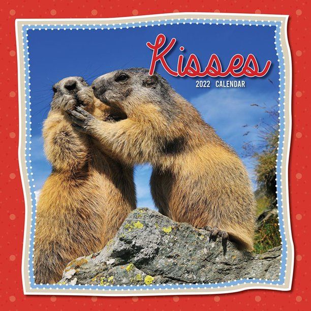 Photo 1 of 2022 Monthly Wall Calendar, 16 Month, Animals Kisses Theme with Reminder Stickers, 12 x 12 in
