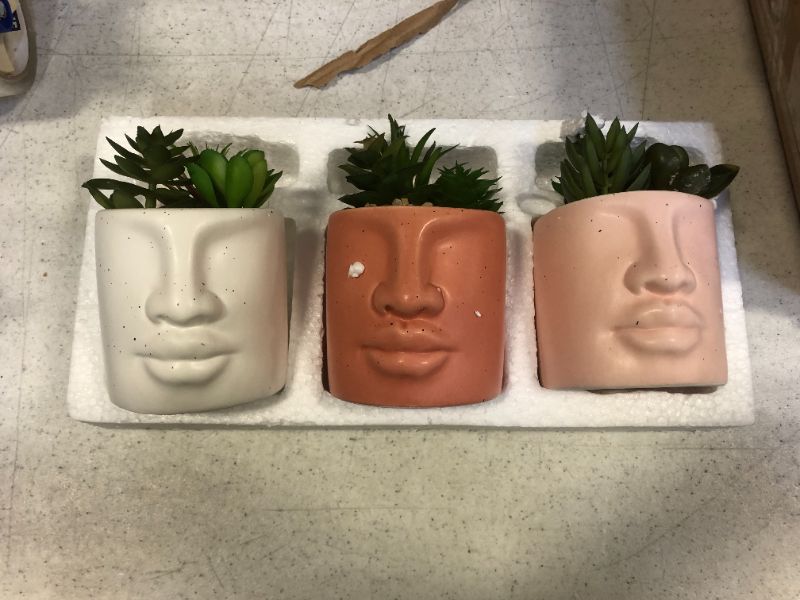 Photo 1 of **SET OF 3** SMALL CERAMIC ARTIFICIAL SUCCULENT WITH FACES ( 3.5 X 3.5 ) 