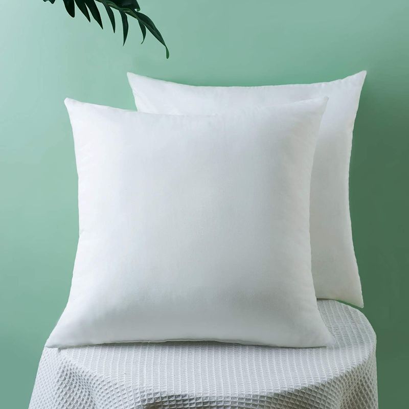 Photo 1 of AVOE Throw Pillow Inserts