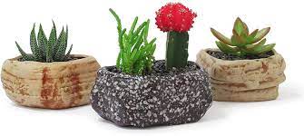 Photo 1 of Ceramic Succulent Pots Planters for Succulents and Cactus, Natural Rock Shape Stone Design with Drainage for Home Window or Office, Set of Three
