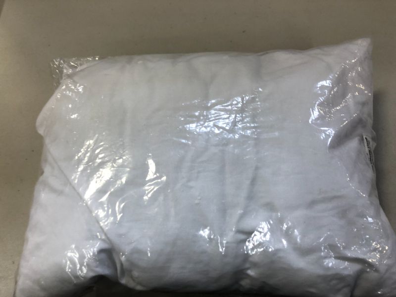 Photo 1 of 13" x 18" PILLOW INSERT (DAMAGES TO PACKAGING)