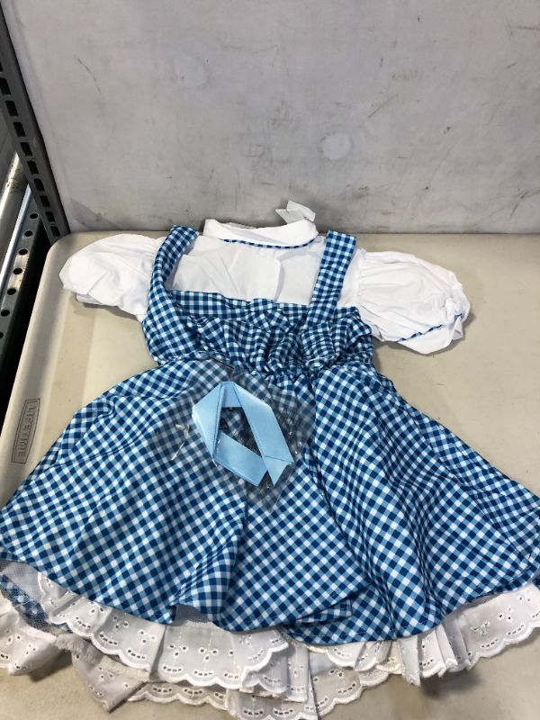 Photo 1 of Child's Wizard of Oz Deluxe Dorothy Costume
SIZE SMALL, DRESS AND BOW TIES ONLY