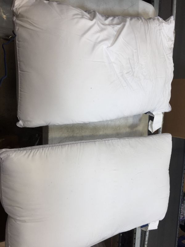 Photo 1 of 2 pack of standard pillows