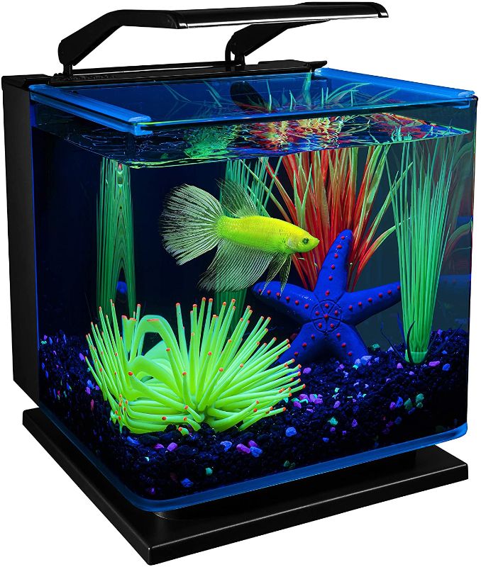 Photo 1 of GloFish Betta Aquarium Kit 3 Gallons, Includes LED Lighting And Filter
