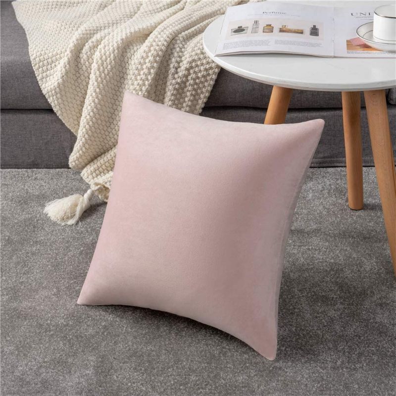 Photo 1 of 18x18 Throw Pillow Covers Pink: 2 Pack Cozy Soft Velvet Square Decorative Pillow Cases for Farmhouse Home Decor, 
