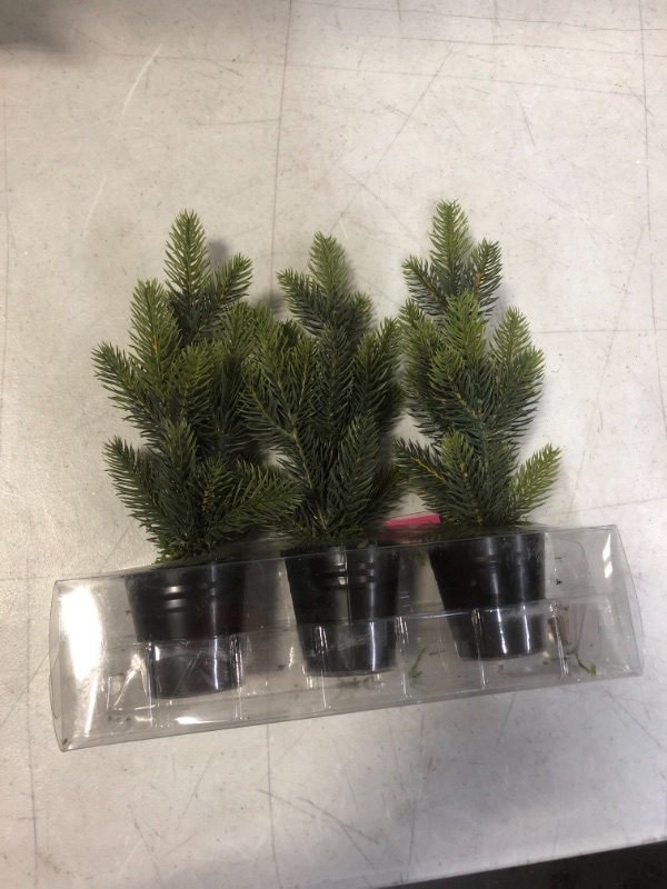 Photo 1 of 3 pack of small desk christmas trees