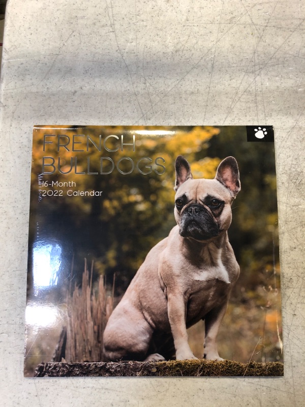 Photo 2 of 2022 Square Wall Calendar - French Bulldogs, 12 x 12 Inch Monthly View, 16-Month, Animals - Paw Prints Theme, Includes 180 Reminder Stickers
