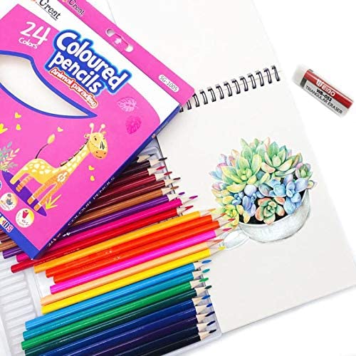 Photo 1 of Color Pencils 24 Pack Comfortable Triangle Colored Pencil Holder,24pcs Set,Sketchbook/Eraser
