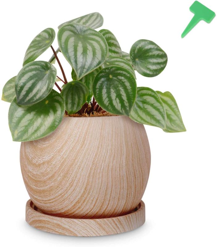 Photo 1 of CEED4U 5.1 Inches Cement Plant Pot Flower Planter with 15 Packs Plant Labels Drainage Hole and Saucer, Wooden Pattern Indoor Home Décor Pot Plant Container for Aloe Plants Flower, Plants Not Included
