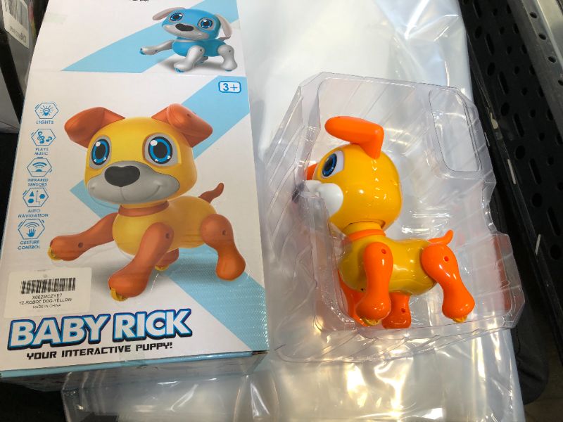 Photo 1 of BABY RICK ROBOT DOG