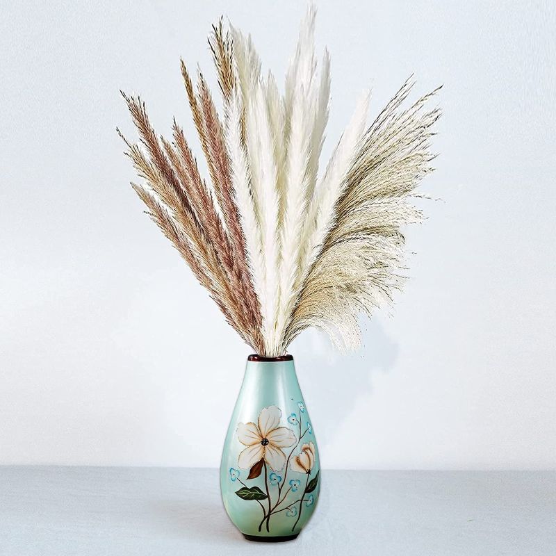 Photo 1 of  17'' Set - Natural Dried Pampas Grass 