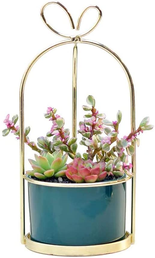 Photo 1 of White Ceramic Succulent Planter Pot Holder Plating with Gold Flower Rack Ceramic Cylindrical Succulent Planter Pot Modern for Office,Window,Kitchen (Green)
