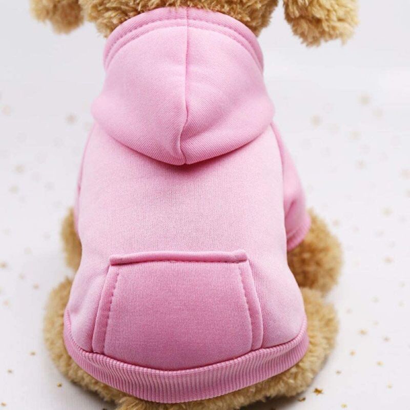 Photo 1 of Lotus And Ladybug Hoodie for Dogs | Dog Hoodie - SIZE SMALL 
