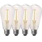 Photo 1 of 60-Watt Equivalent ST19 Dimmable Straight Filament Clear Glass Vintage Edison LED Light Bulb, Soft White (4-Pack)
