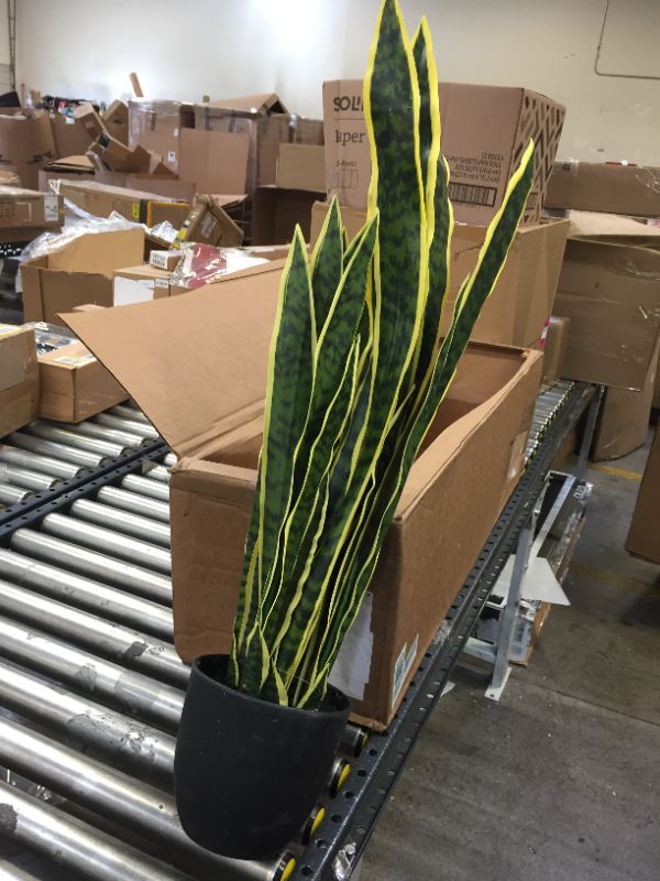 Photo 2 of  33” Sansevieria Artificial Plants Green
