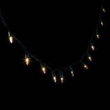 Photo 1 of 60ct Twinkle LED Smooth Mini Christmas String Lights Warm White with Green Wire