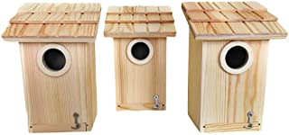 Photo 1 of 3 Pack Bird House - Bluebird, Finch, Wren, Chickadee, Tree Swallow Bird, Wild Birds, Woodpecker House, | Unfinished Wood DIY Project |