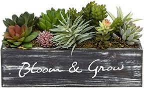 Photo 1 of MyGift 10 Inch Artificial Succulent Small Fake Plant Arrangement in Rustic Brown Planter Box with Decorative Bloom & Grow Cursive Writing