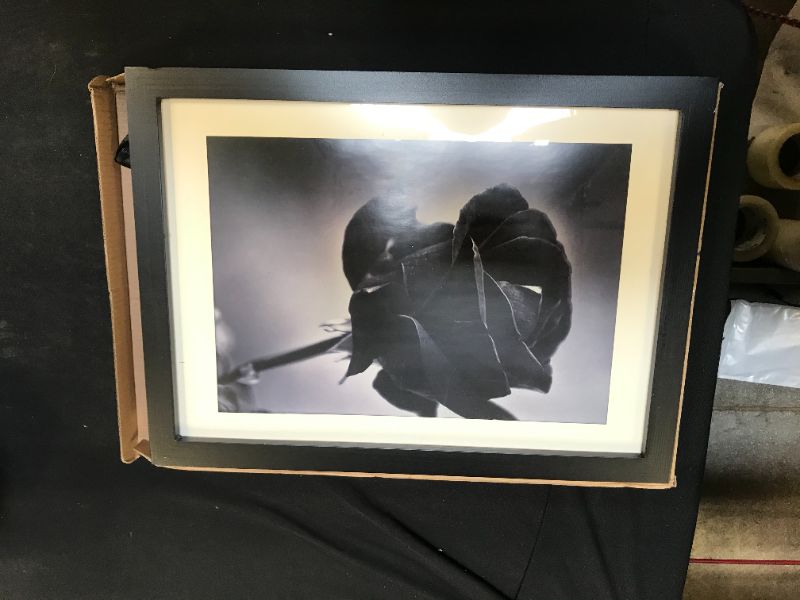 Photo 1 of 10x14 picture frame 