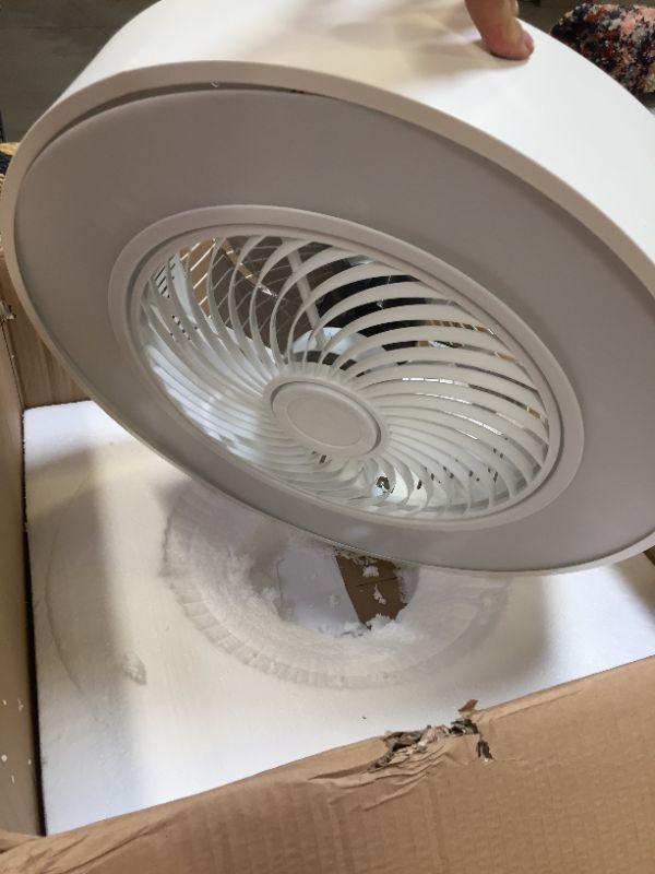 Photo 1 of fan lamp special