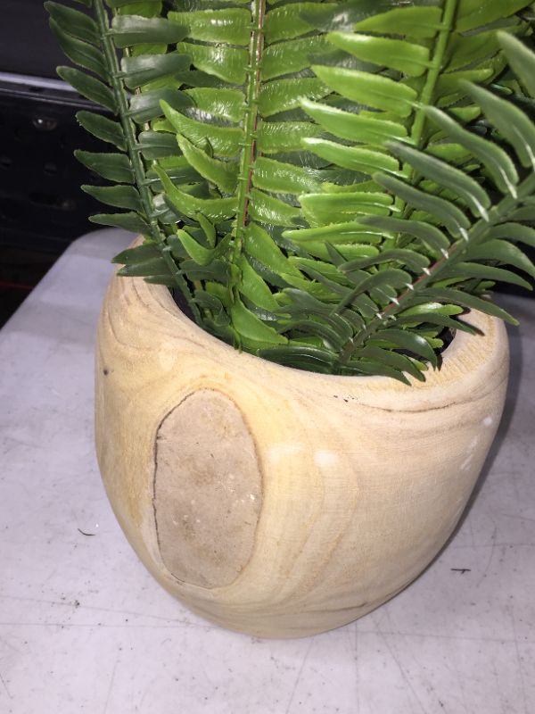 Photo 2 of 13" x 14" Artificial Fern Arrangement in Pot - Threshold