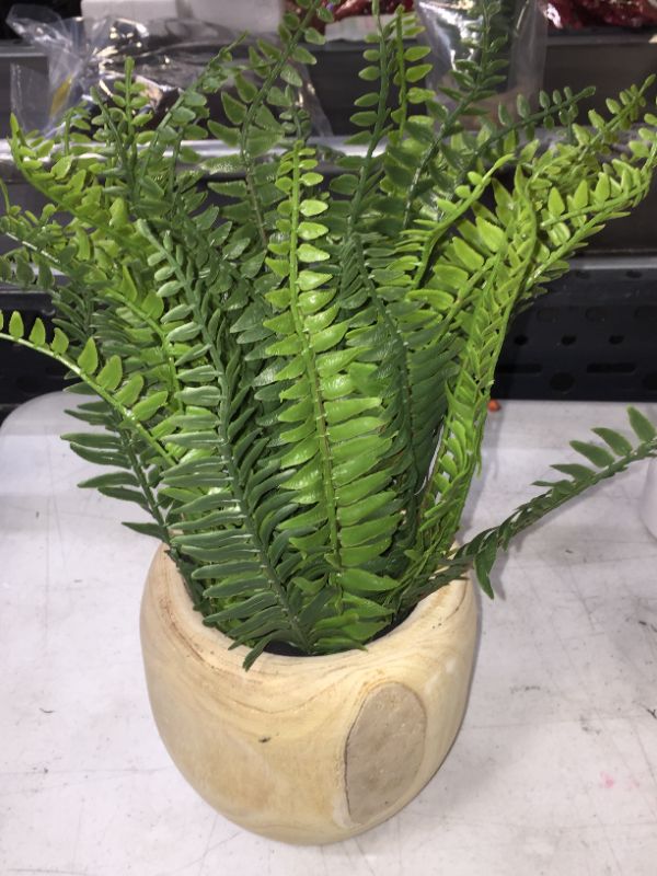 Photo 3 of 13" x 14" Artificial Fern Arrangement in Pot - Threshold