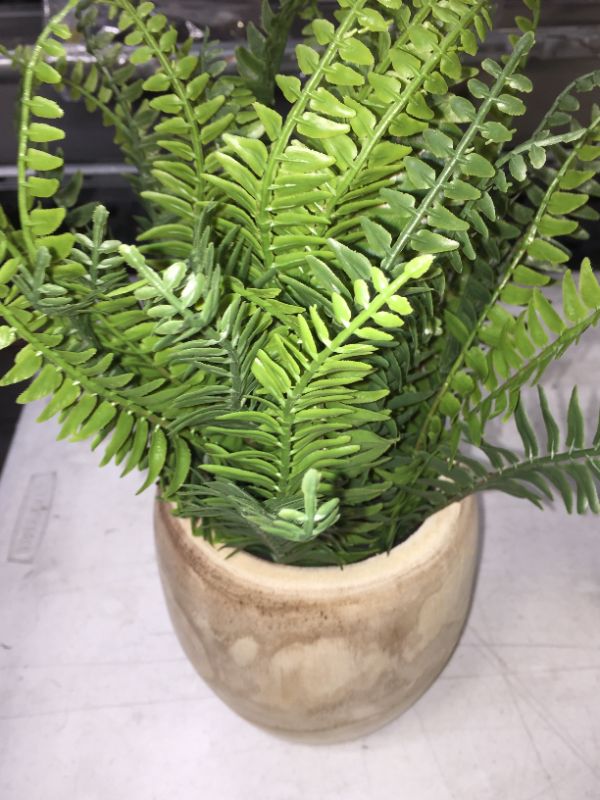 Photo 2 of 13" x 14" Artificial Fern Arrangement in Pot - Threshold