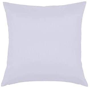 Photo 1 of Essencea Faux Silk Throw Pillow Cover Square Solid Color Decorative Soft Shiny Pillowcase/Sham with Sturdy Hidden Zipper for Sofa | Bedroom | Living Room | Car (20x20 Inches, Pure White)
