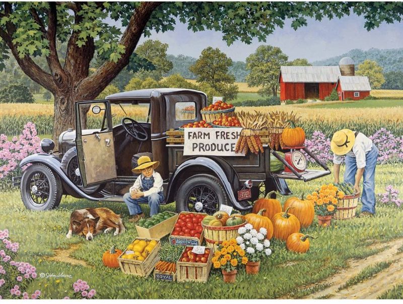 Photo 1 of Bits and Pieces - 1000 Piece Jigsaw Puzzle for Adults - Home Grown - 1000 pc Fall on The Farm Jigsaw by Artist John Sloane
