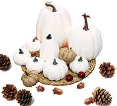 Photo 1 of AOLIGE 12 PCS WHITE PUMPKIN DECORATION FALL HARVEST ASSORTED FAKE PUMPKINS