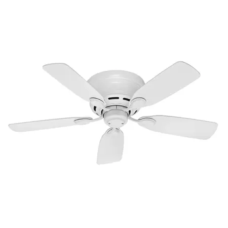 Photo 1 of  Hunter 42" Low Profile White Ceiling Fan with Pull Chain

